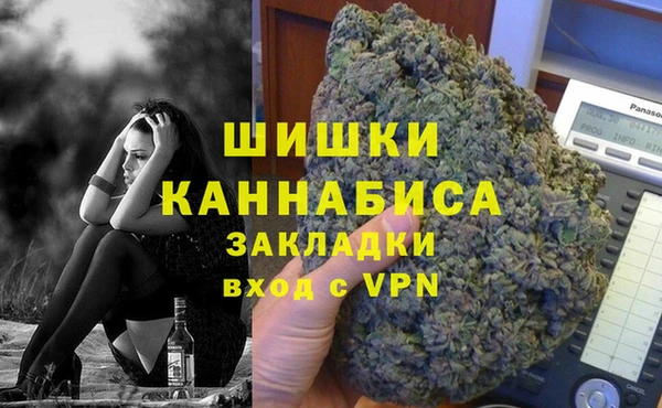 шишки Аркадак