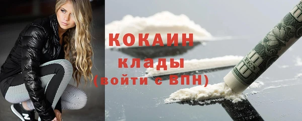 шишки Аркадак