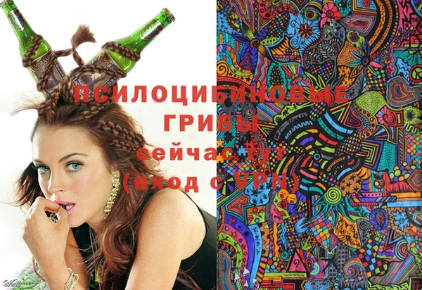 шишки Аркадак