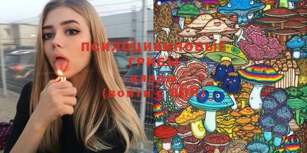 шишки Аркадак