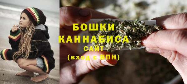 шишки Аркадак